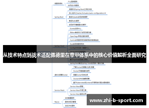 从技术特点到战术适配佩德里在意甲体系中的核心价值解析全面研究 从技术特点到战术适配佩德里在意甲体系中的核心价值解析全面研究
